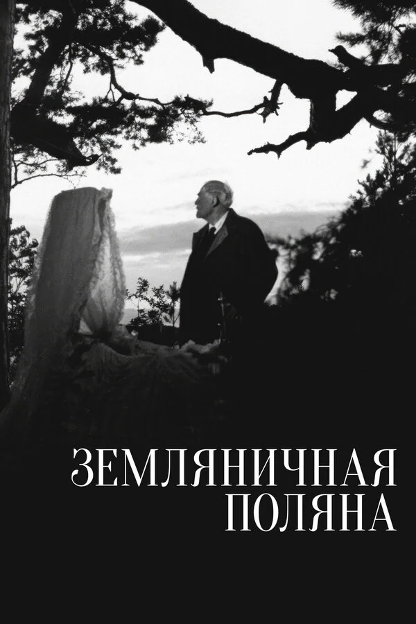 Земляничная поляна - постер фильма